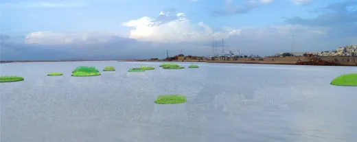 Faliron Bay Master Plan