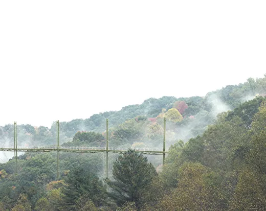 National Scout Reserve Pedestrian Bridge Competition