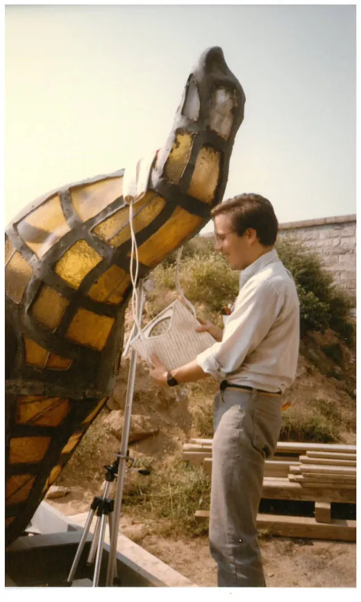 Statue of Liberty Flame Transport Study